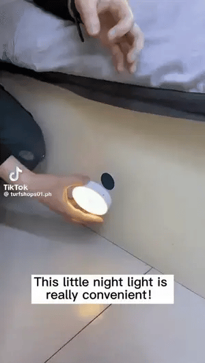 Motion Sensor LED Night Light