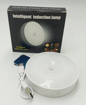 Motion Sensor LED Night Light